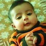 Anjum Naqvi - Instagram Profile Picture of Anjum Naqvi (@anjum.naqvi.73) on Instagram