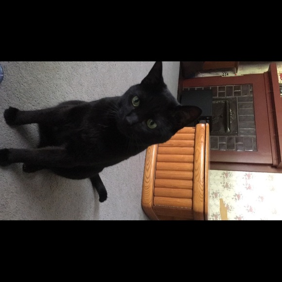 Profile Picture of Tae King (@taelyn_king) on Poshmark