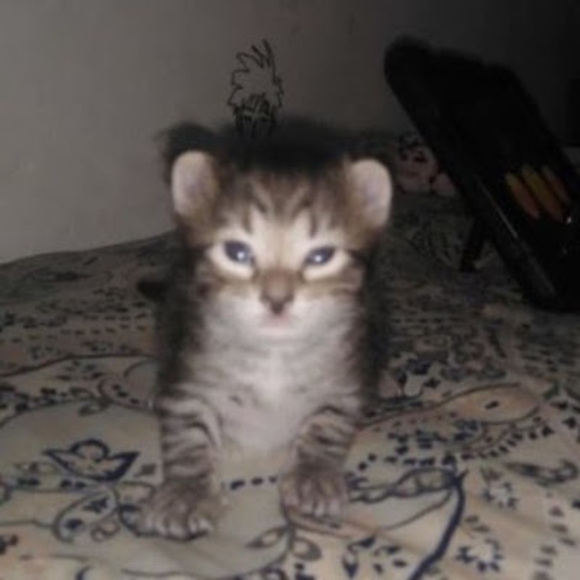 Profile Picture of Jack Kreps (@duelfire10) on Poshmark