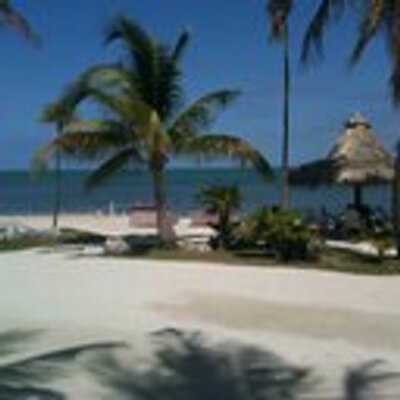 Profile Picture of Steve Gannon (@LargoCEO) on Twitter