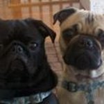 Profile Picture of Kim Taylor Albaugh (@kimtayloralbaugh) on Instagram