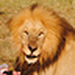 Profile Picture of Luke Anderson (@lda974) on Flickr