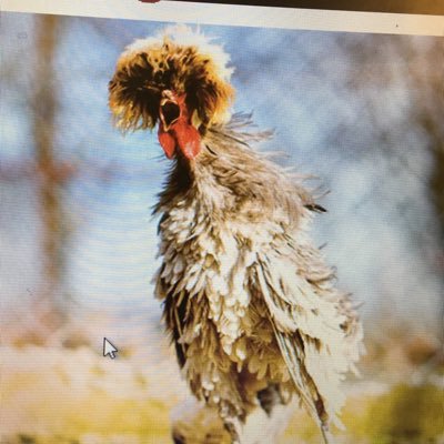 Profile Picture of Thomas Weatherill (@TRweatherill) on Twitter