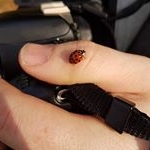 Profile Picture of Peter Selleck (@pselleckphotographer) on Instagram