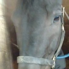 Profile Picture of Richard Hummer (@richard_hummer) on Twitter