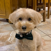 Max Winkler - Youtube Profile Picture of Max Winkler (@maxwinkler3363) on Youtube