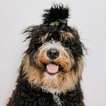 Profile Picture of Big Girl Phyllis (@big_girl_phyllis) on Instagram