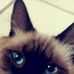 Profile Picture of Constanza Quintero (@constanza.quintero.92167) on Facebook