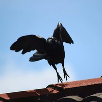 Profile Picture of Daniel Gillespie (@daniel-gillespie-64) on Quora