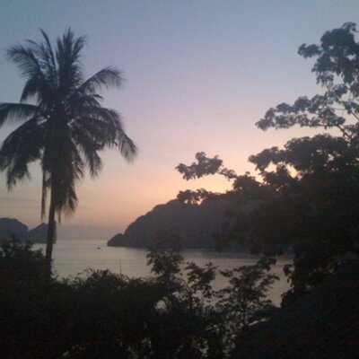 Traciedoes - Twitter Profile Picture of Traciedoes (@TracieSullivan1) on Twitter