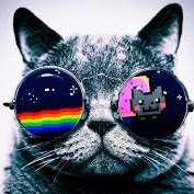 Profile Picture of Andrew Maclennan (@andrewmaclenna9) on Twitter