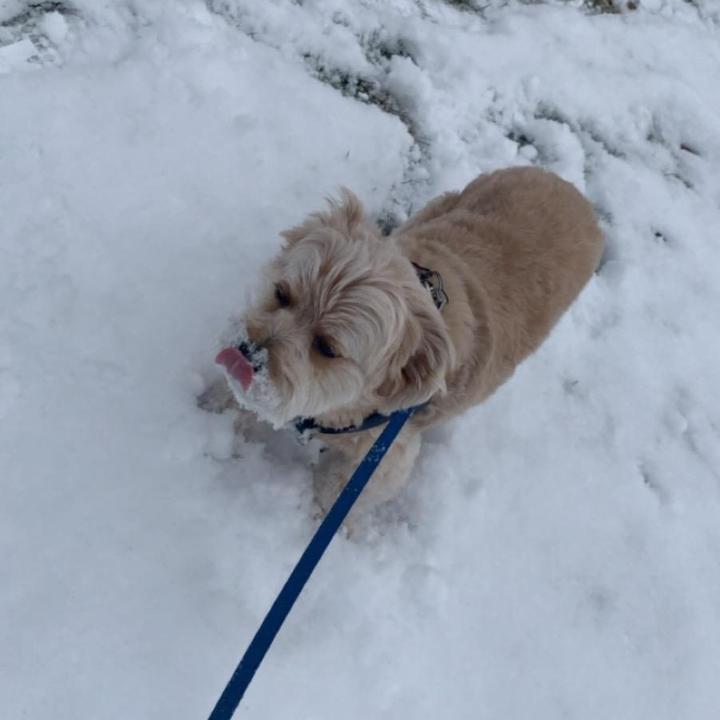 Profile Picture of Andrew (@andrew__langerman) on Tiktok