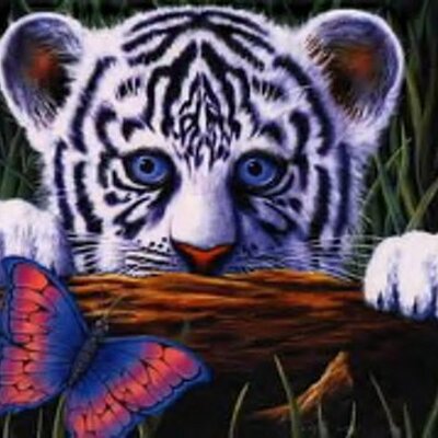 Profile Picture of Cindy Singleton (@cindylee69) on Twitter