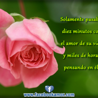 Profile Picture of Isabel Tolentino (@Pollita121) on Twitter