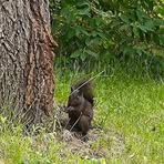 Profile Picture of Ari Fischer (@ari.fischer.547739) on Facebook