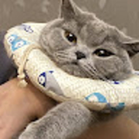 Profile Picture of Yifei Liu (@liuyifei0429) on Poshmark