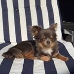 Profile Picture of Nancy Spiessens (@nancy.spiessens.9) on Instagram