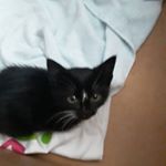 Profile Picture of alexus.watson (@alexus.watson39) on Instagram