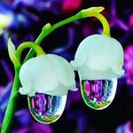 Profile Picture of alice Gallardo (@alicegalla22) on Instagram