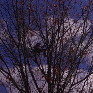 Profile Picture of William Guerin Vaeth (@william.vaeth.5) on Facebook