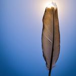 Profile Picture of Joseph guingo (@blog_wonderful_places) on Instagram