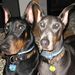 Profile Picture of Gregory Spaulding (@gregorys1584) on Pinterest