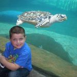 Profile Picture of Collin (@_collin_hughes_) on Instagram
