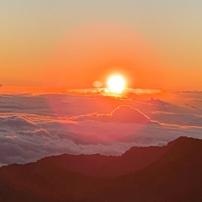 Profile Picture of Lori __ ☮️ Enough! (@smh_lori) on Twitter