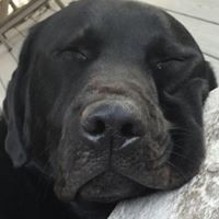 Profile Picture of Chris Dauer Van Sickel (@chris-dauer-van-sickel) on Quora
