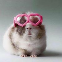 Kelly Gabriel Dorne - Quora Profile Picture of Kelly Gabriel Dorne (@kelly-gabriel-dorne) on Quora