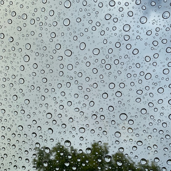 Profile Picture of Haley Nolan (@haleyshobbys) on Poshmark