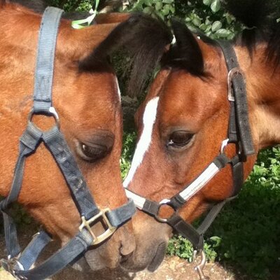 Profile Picture of DarcyWallace (@darcy_wallace) on Twitter