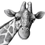 Profile Picture of Hext Laurie (@hext.laurie.9) on Facebook