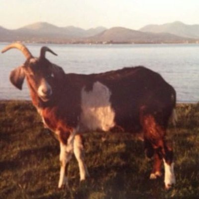 Profile Picture of Brian Patterson (@JemmyHope) on Twitter