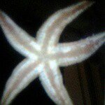 Profile Picture of Ted_jenkins (@popularmmos_ted) on Instagram