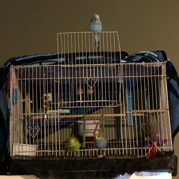 Profile Picture of Steven Rivas (@rivassteven558) on Poshmark