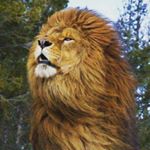 Profile Picture of Jonathan Rivero Reza (@jonathanriveroreza) on Instagram