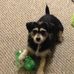 Profile Picture of Michael Mulherin (@michael.mulherin.77) on Facebook