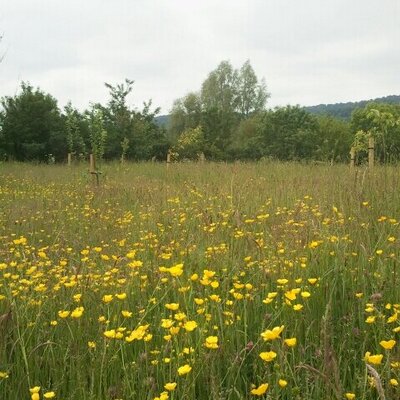 Profile Picture of Thomas Ward-Jackson (@KWT_Monmthshire) on Twitter