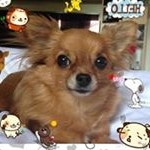 Profile Picture of Scott Oshiro (@oshiroscott) on Instagram