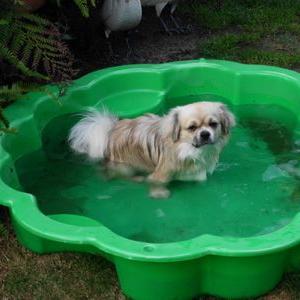 Profile Picture of Ineke (@AskampIneke) on Twitter