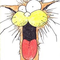 Profile Picture of Clint Babb (@clint-babb) on Quora