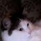 Profile Picture of Michael Zerr (@michael.zerr.18) on Facebook