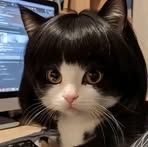 Profile Picture of Edward Nagai Calli (@edward.ccalli) on Facebook