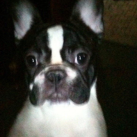 Profile Picture of April Limauro (@april2111) on Poshmark