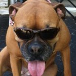 Profile Picture of Peter Scanlon (@rhumbline_rigging) on Instagram