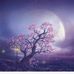 Profile Picture of Christopher Mendiola (@christopher.mendiola.526) on Facebook