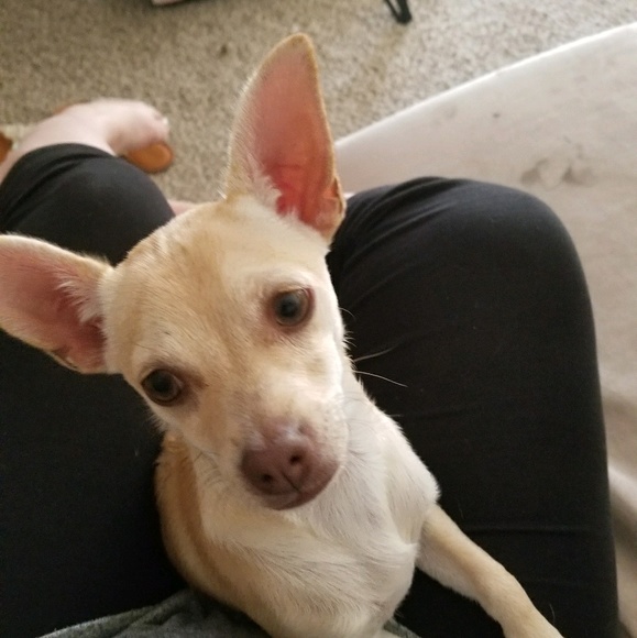 Profile Picture of Holly Alramahy (@hollyrae131) on Poshmark