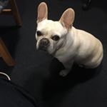 Jerome Guth - Instagram Profile Picture of Jerome Guth (@guthjerome) on Instagram