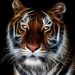 Profile Picture of Ray Rector (@rayrector1) on Pinterest